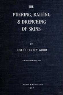 The Puering by Joseph Turney Wood