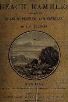Beach Rambles in search of Seaside Pebbles and Crystals by Joseph Greene Francis