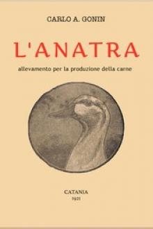 L'anatra by Carlo A. Gonin