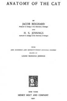Anatomy of the Cat by Jacob Reighard, H. S. Jennings