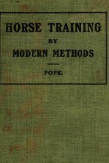 Horse Training by Modern Methods by Allan Melvill Pope