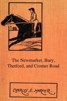 The Newmarket, Bury, Thetford and Cromer Road by Charles G. Harper