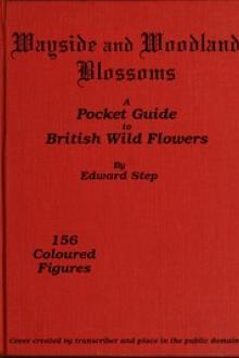 Wayside and Woodland Blossoms by Edward Step