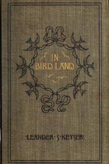 In Bird Land by Leander Sylvester Keyser