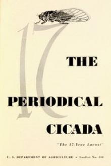 The Periodical Cicada by United States Department of Agriculture