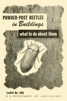 USDA Leaflet 358: Powder-Post Beetles in Buildings by T. McIntyre, R. A. St. John