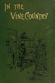 In the vine country by Edith Oenone Somerville, Violet Martin