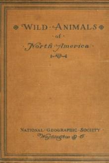 Wild Animals of North America by Edward William Nelson