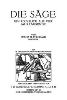 Die Säge by Franz Maria Feldhaus