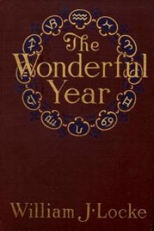 The Wonderful Year by William J. Locke