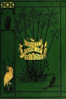 Casell's Book of Birds by Alfred Edmund Brehm, Thomas Rymer Jones