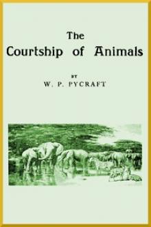 The Courtship of Animals by William Plane Pycraft