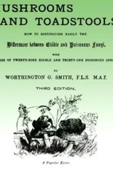 Mushroom and Toadstools by Worthington George Smith
