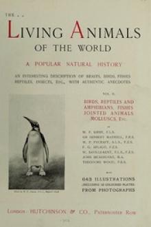 The Living Animals of the World Vol 2 of 2 by Frederick Courteney Selous, Louis Wain, Harry Johnston, others, C. J. Cornish