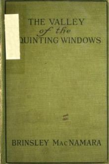 The Valley of Squinting Windows by Brinsley MacNamara
