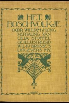 Het Boschvolkje by William J. Long