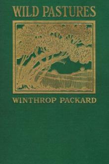 Wild Pastures by Winthrop Packard