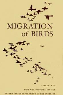 USFWS Circular 16: Migration of Birds by Steven R. Peterson, Frederick C. Lincoln