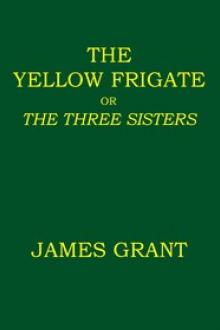 The Yellow Frigate by archaeologist Grant James
