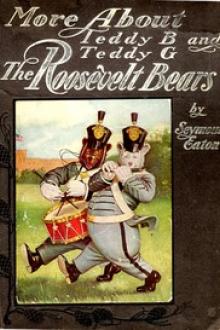 More About Teddy B. and Teddy G. The Roosevelt Bears by John Stow, Pen name Paul Piper, 1859-1916