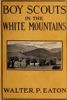 Boy Scouts in the White Mountains by Walter Prichard Eaton