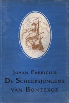 De Scheepsjongens van Bontekoe by Johan Fabricius