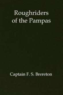 Roughriders of the Pampas by Frederick Sadleir Brereton