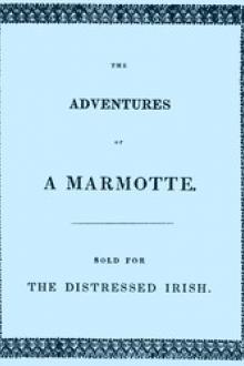The Adventures of a Marmotte by Elizabeth Caroline Grey