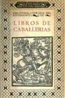 Libros de caballerías by Unknown