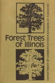 Forest Trees of Illinois by Robert H. Mohlenbrock