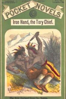Iron Hand, Chief of the Tory League by Frederick Forest