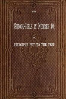 The School-Girls in Number 40 by Anonymous