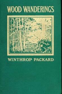 Wood Wanderings by Winthrop Packard