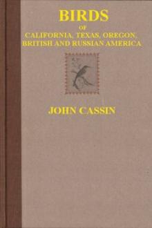Illustrations of the Birds of California by John Cassin