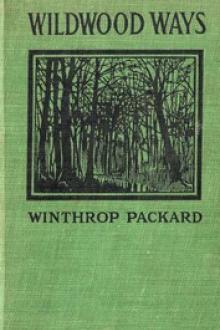 Wildwood Ways by Winthrop Packard