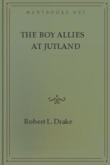 The Boy Allies at Jutland by Clair Wallace Hayes