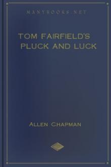 Tom Fairfield's Pluck and Luck by Allen Chapman