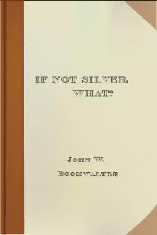 If Not Silver, What? by John W. Bookwalter