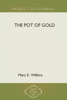 The Pot of Gold by Mary E. Wilkins