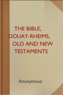 The Bible, Douay-Rheims, Old and New Testaments by Unknown
