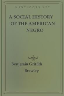 A Social History of the American Negro by Benjamin Griffith Brawley