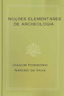 Noções elementares de archeologia by Joaquim Possidónio Narciso da Silva