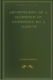 Adventures of a Sixpence in Guernsey by A Native by Anonymous