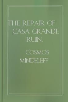 The Repair of Casa Grande Ruin, Arizona, in 1891 by Cosmos Mindeleff