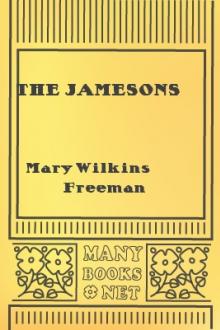 The Jamesons by Mary E. Wilkins