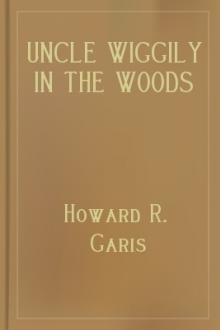 Uncle Wiggily in the Woods by Howard R. Garis