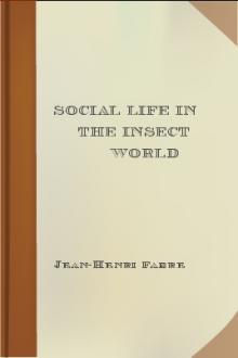 Social Life in the Insect World by Jean-Henri Fabre