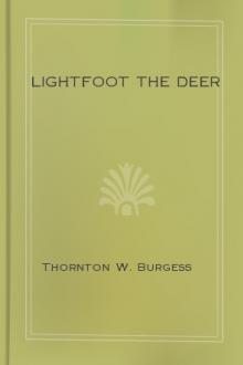 Lightfoot the Deer by Thornton W. Burgess