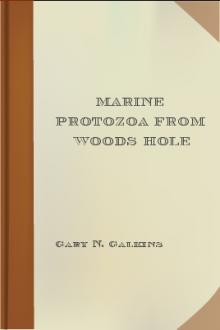 Marine Protozoa from Woods Hole by Gary Nathan Calkins