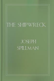 The Shipwreck by Joseph Spillman